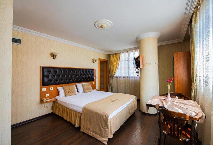 Camera Standard, Kozan City