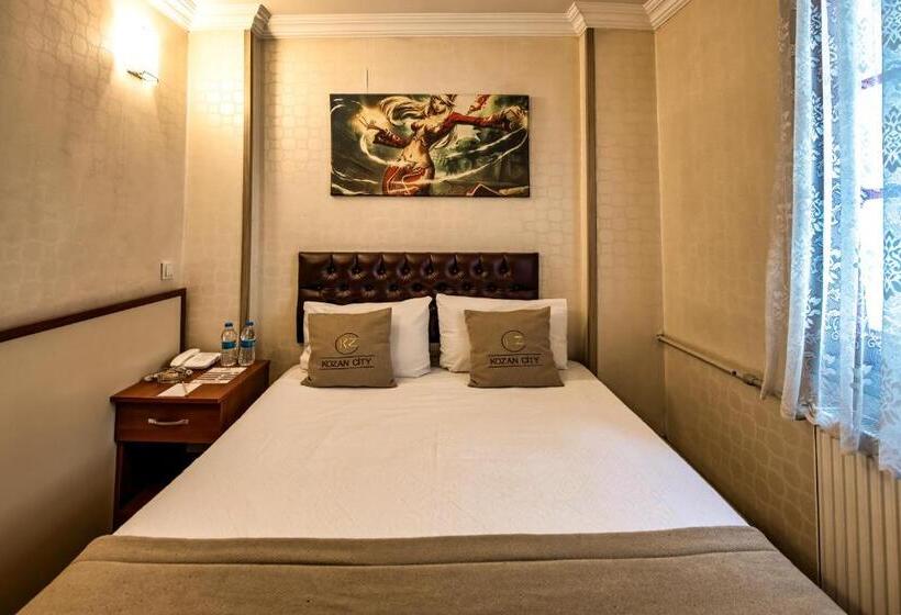 Camera Economy Singola, Kozan City