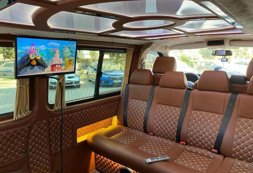 Camera Economy, Kozan City