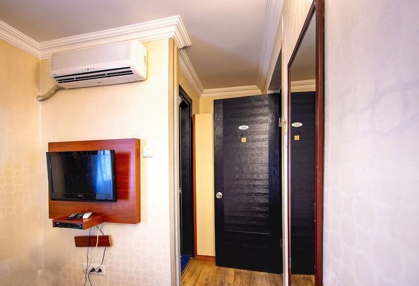 Camera Economy Singola, Kozan City