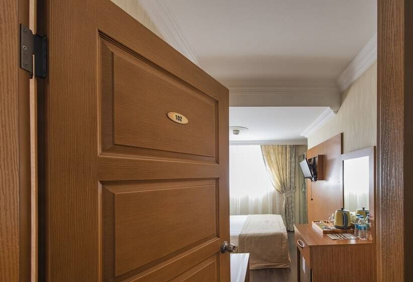 Camera Standard, Kozan City