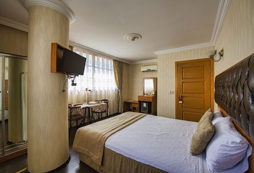 Camera Standard, Kozan City