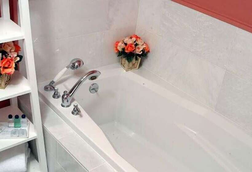 غرفه قياسيه سريرين مزدوجين, Mansion House Inn And Spa