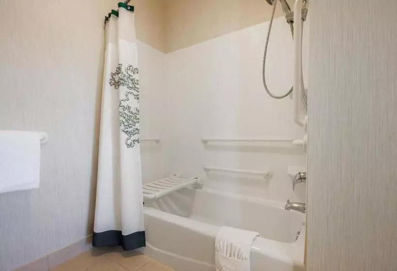 Sviitti King-vuode, Residence Inn By Marriott Arlington South