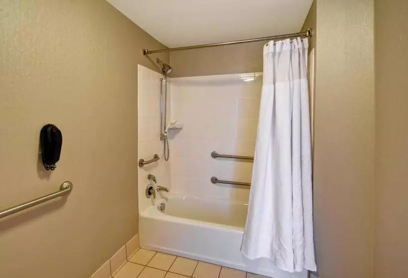 キングサイドベッドのスタンダードワンルーム, Springhill Suites Louisville Airport