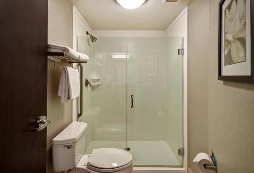 إستوديو قياسى سرير كينج, Springhill Suites Louisville Airport