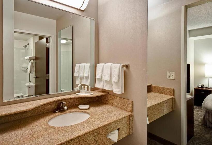 إستوديو قياسى سرير كينج, Springhill Suites Louisville Airport