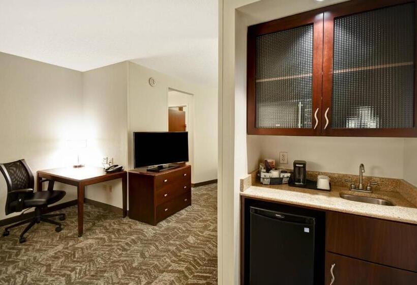 إستوديو قياسى سرير كينج, Springhill Suites Louisville Airport