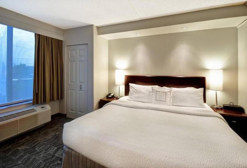 Студио Стандарт Кровать Кинг, Springhill Suites Louisville Airport