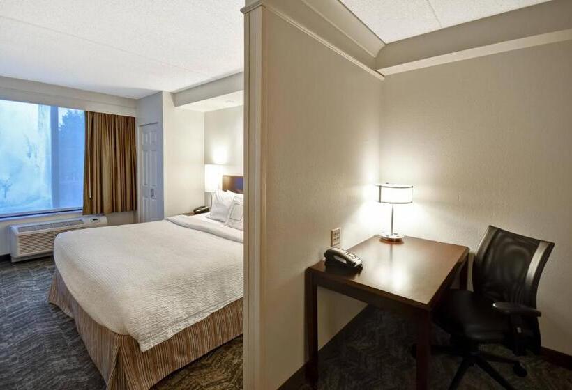 إستوديو قياسى سرير كينج, Springhill Suites Louisville Airport