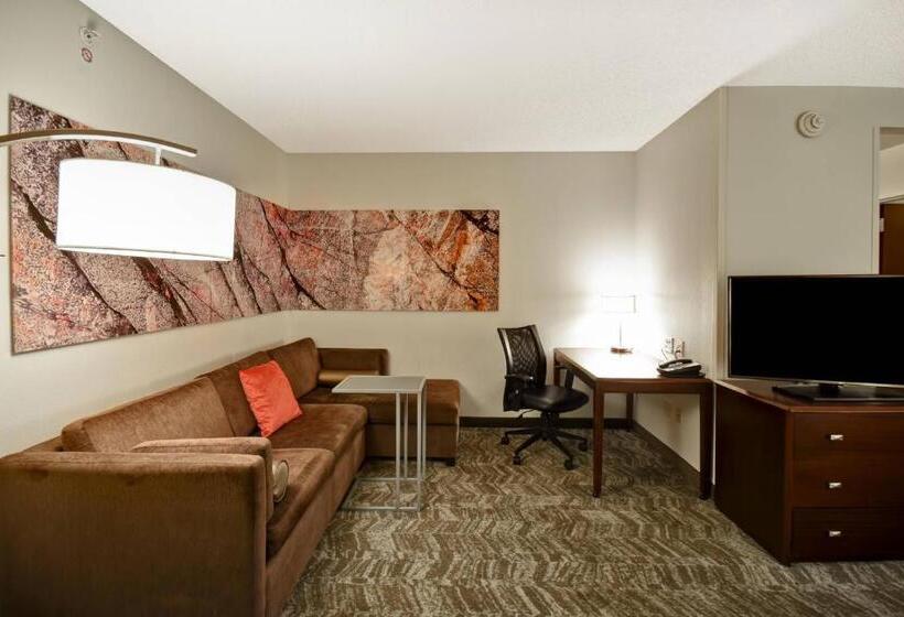 إستوديو قياسى سرير كينج, Springhill Suites Louisville Airport