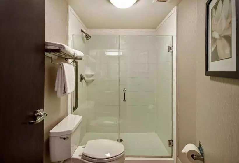 スタンダードスタジオ, Springhill Suites Louisville Airport