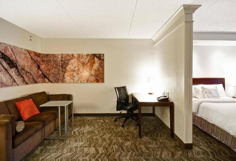 إستوديو قياسى, Springhill Suites Louisville Airport