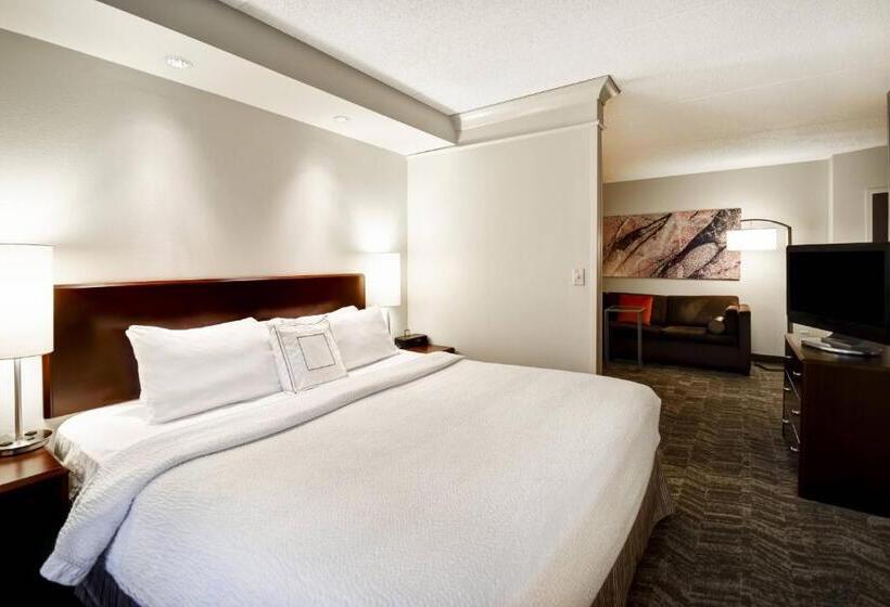 Студио Стандарт Кровать Кинг, Springhill Suites Louisville Airport