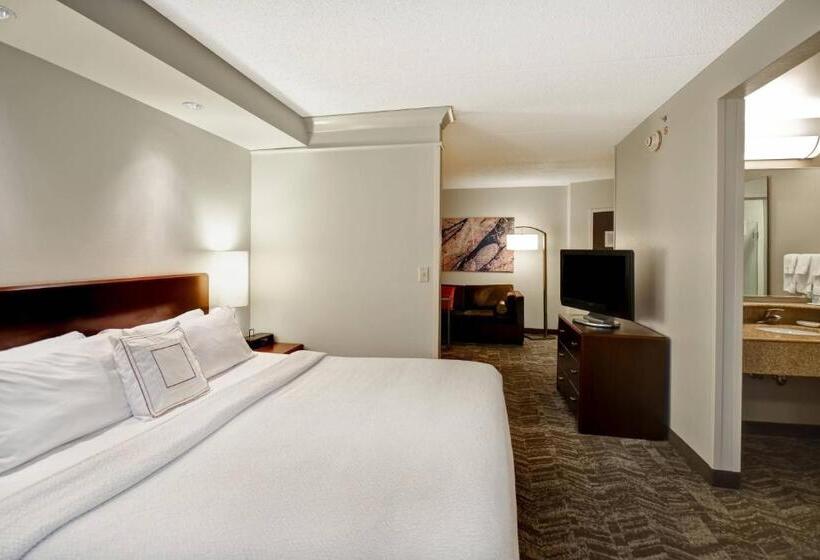 إستوديو قياسى سرير كينج, Springhill Suites Louisville Airport