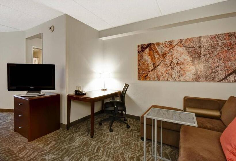إستوديو قياسى, Springhill Suites Louisville Airport