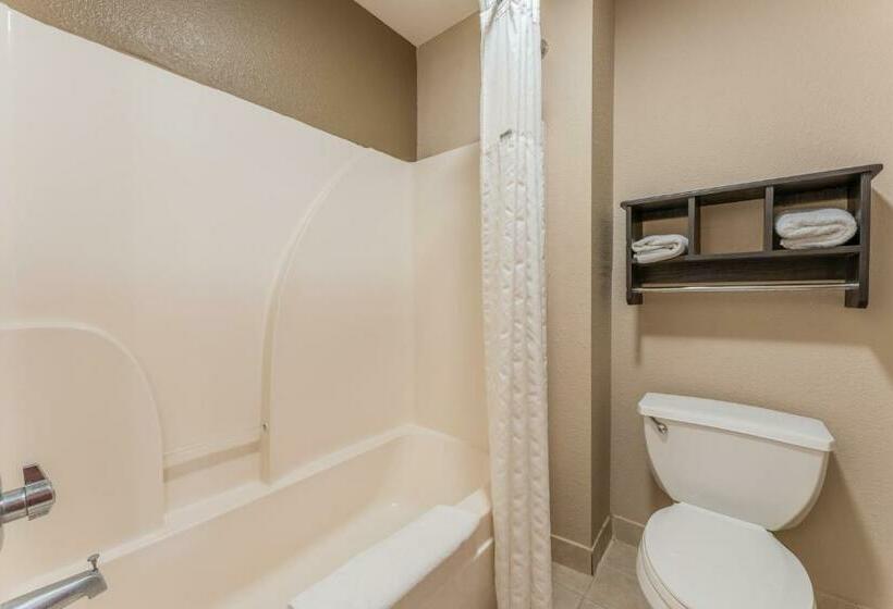 اتاق استاندارد با تخت بزرگ, Super 8 By Wyndham Lake Charles Northeast