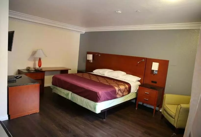 キングサイズベッドのスタンダードルーム, Chateau Inn & Suites