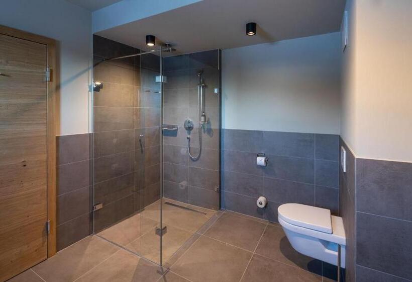 Апартаменты 1 Спальня, Apart Resort Westendorf