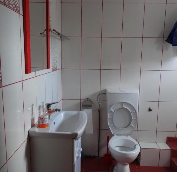 标准单人间, Pensiunea Lacul Albesti