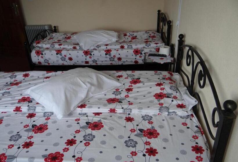 标准单人间, Pensiunea Lacul Albesti