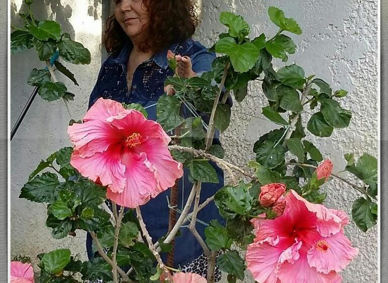 خانه 1 خوابه, Exclusive Cottage In S West Crete In A Quiet Olive Grove Near The Sea