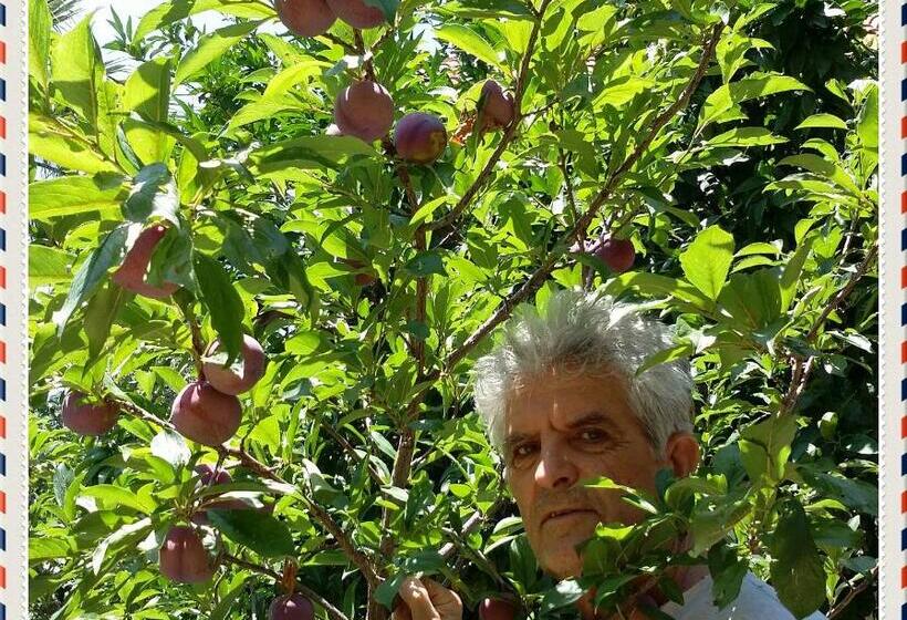 خانه 1 خوابه, Exclusive Cottage In S West Crete In A Quiet Olive Grove Near The Sea