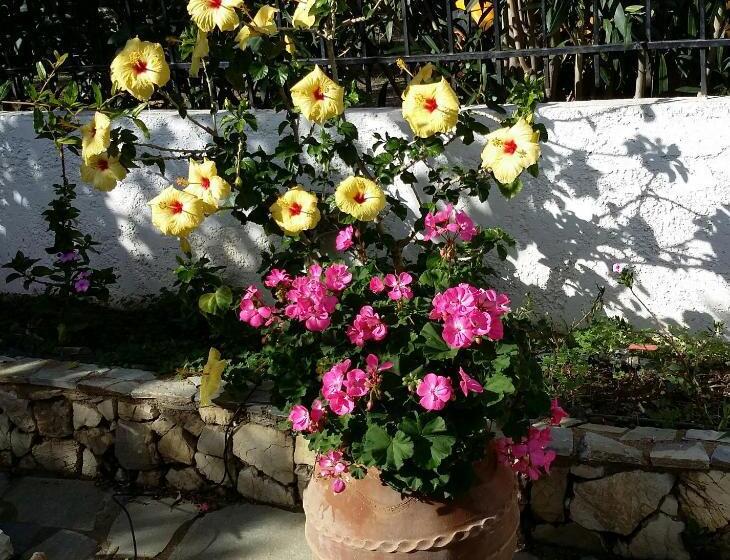 خانه 1 خوابه, Exclusive Cottage In S West Crete In A Quiet Olive Grove Near The Sea