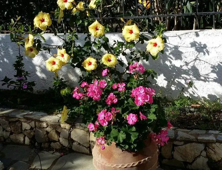 １ベッドルームハウス, Exclusive Cottage In S West Crete In A Quiet Olive Grove Near The Sea