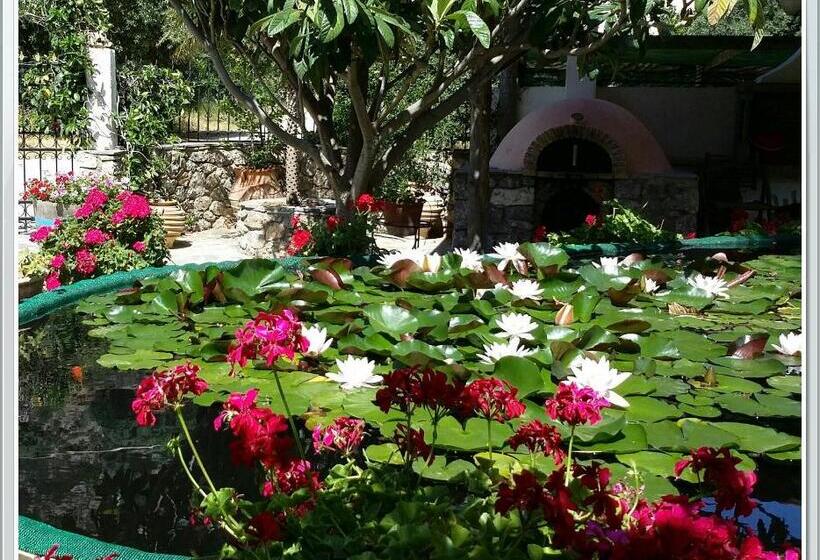 خانه 1 خوابه, Exclusive Cottage In S West Crete In A Quiet Olive Grove Near The Sea