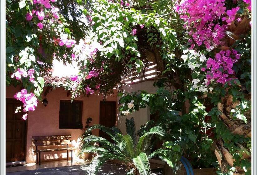 خانه 1 خوابه, Exclusive Cottage In S West Crete In A Quiet Olive Grove Near The Sea