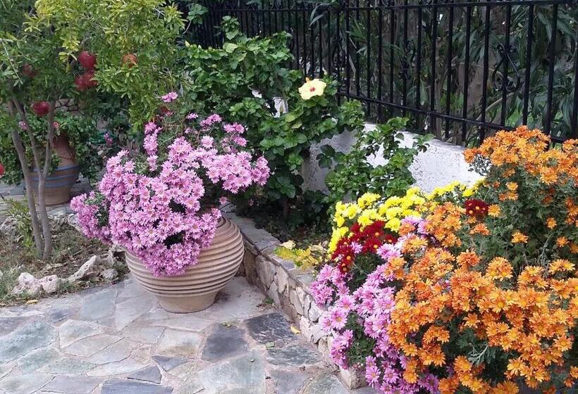 خانه 1 خوابه, Exclusive Cottage In S West Crete In A Quiet Olive Grove Near The Sea