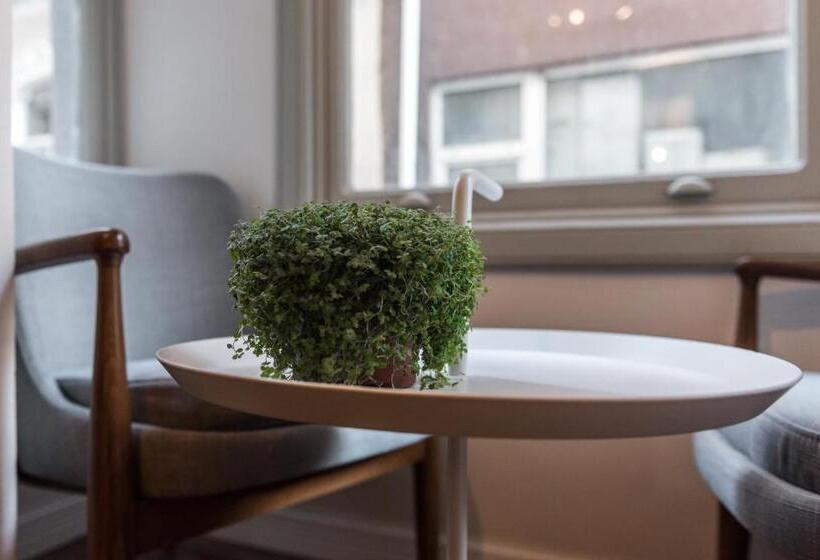 اتاق استاندارد, Haus Galata