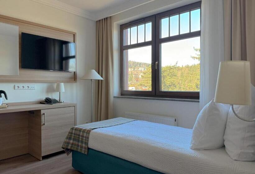Номер Стандарт Индивидуальный, Greno Hotel & Spa