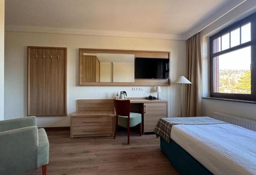 חדר סטנדרט יחיד, Greno Hotel & Spa