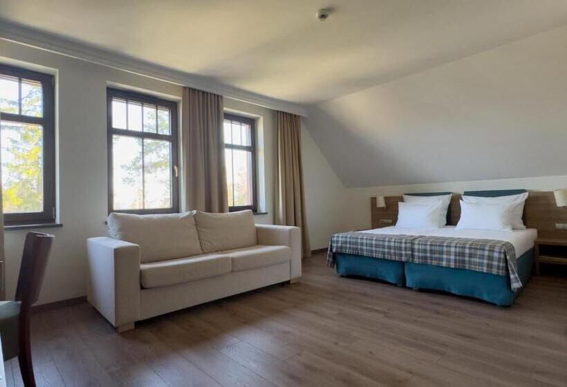 חדר סופריור, Greno Hotel & Spa