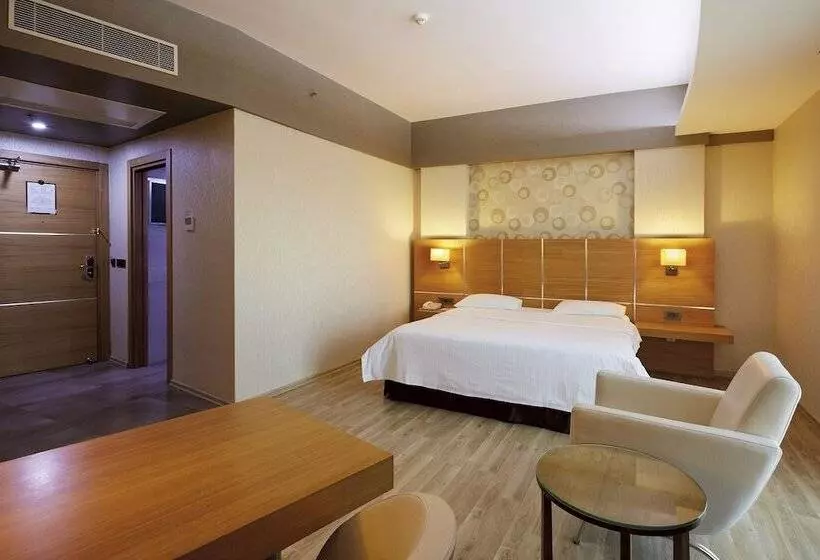 اتاق لوکس, Anemon Grand Adana Otel