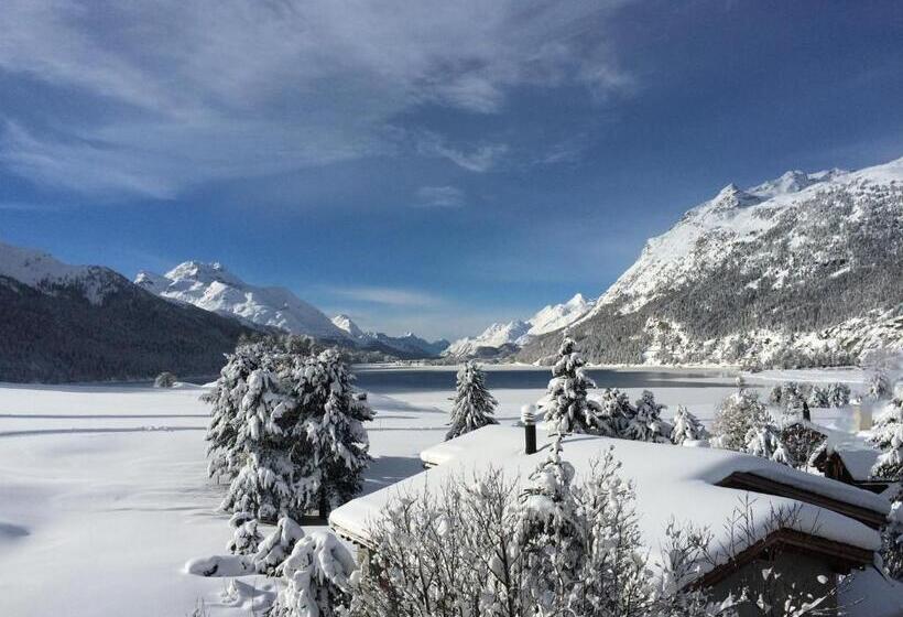 スタンダードルーム, Bellavista