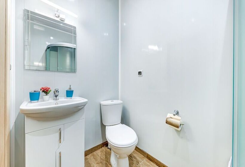 اتاق سوپریور یک تخته, Democrat On Nevskiy 147