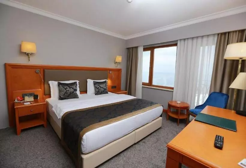 اتاق استاندارد با چشمانداز دریا, La Quinta By Wyndham Giresun