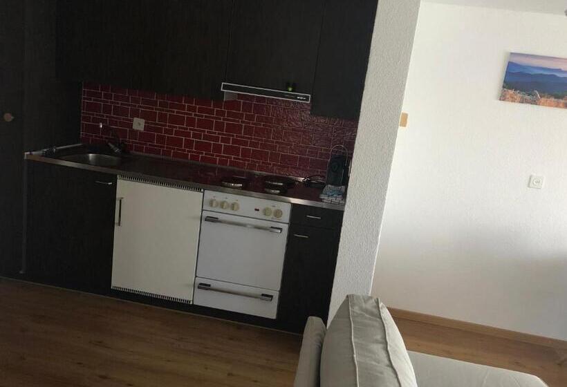 דירה בת חדר שינה 1 עם מרפסת, Le Postillion