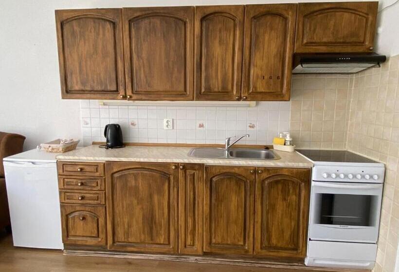 침실 1개 발코니 아파트, Penzion U Náměstí At The Town Square