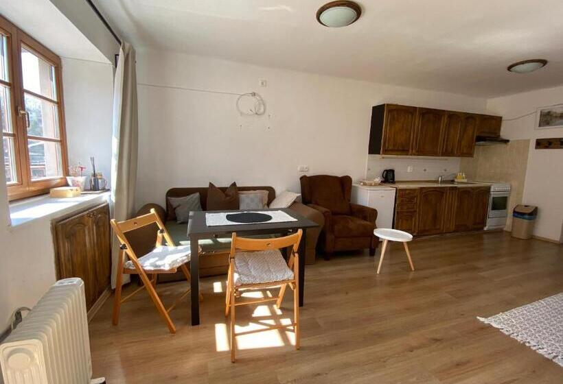 침실 1개 발코니 아파트, Penzion U Náměstí At The Town Square