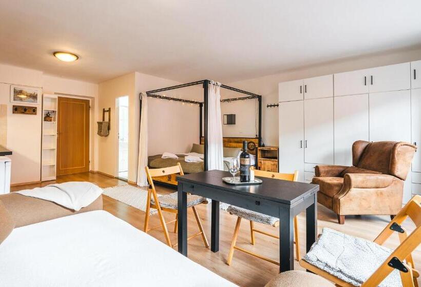 침실 1개 발코니 아파트, Penzion U Náměstí At The Town Square