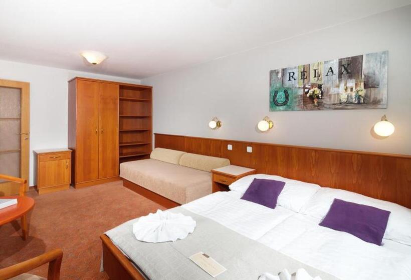 이코노이 4인룸, Sněžka