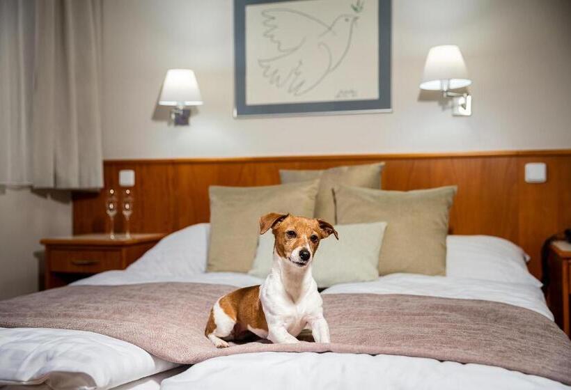 스탠다드 룸, Sněžka