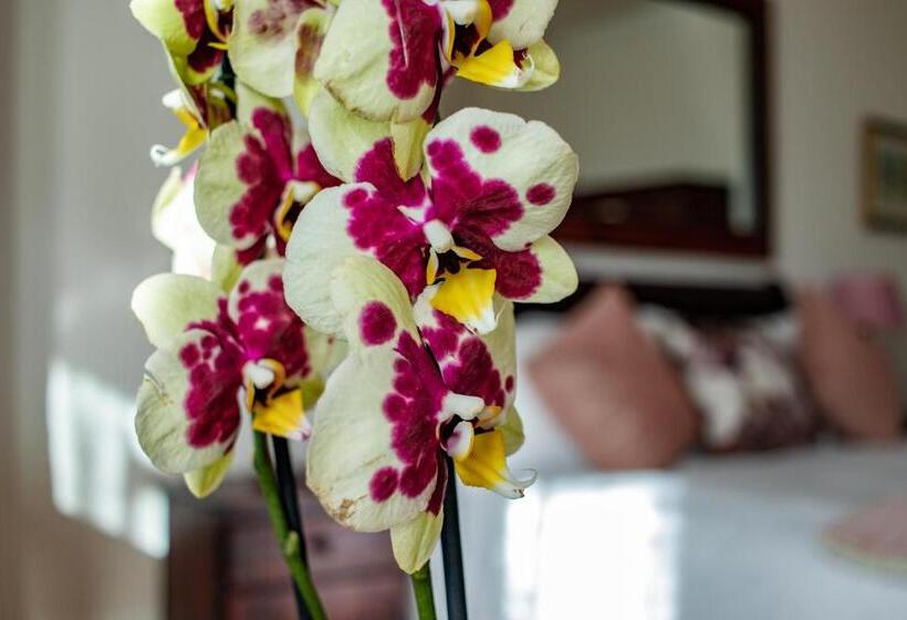 سوییت خانوادگی, Carmichael House Boutique