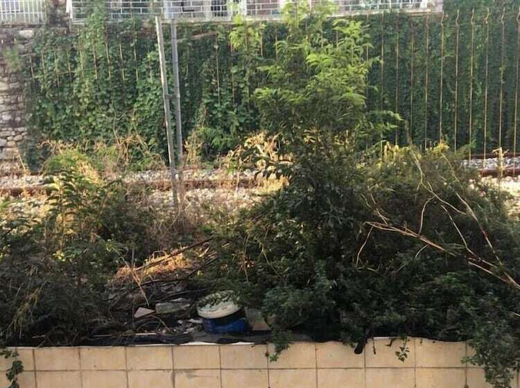 Suite Deluxe, Piya Hostel