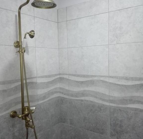 غرفة قياسية, Campos Arenal