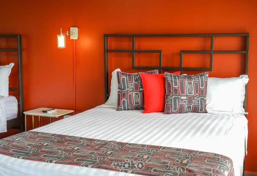 غرفة قياسية, Campos Arenal